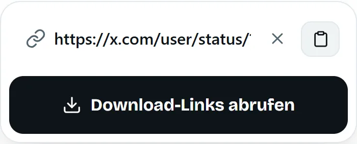 In das MP4fromX-Downloadfeld eingefügter Beitragslink