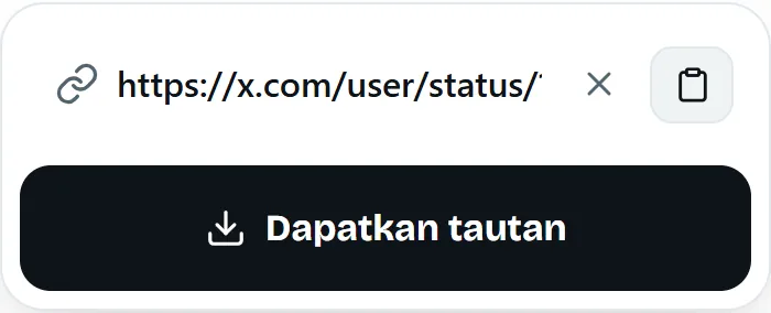 Tautan postingan ditempel di kolom unduhan MP4fromX